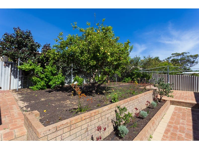 79 Leaside Way, Spearwood WA 6163
