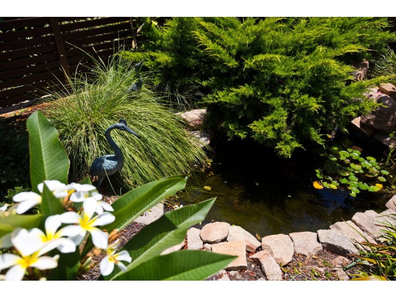 5 Bottlenose Link, Beeliar WA 6164