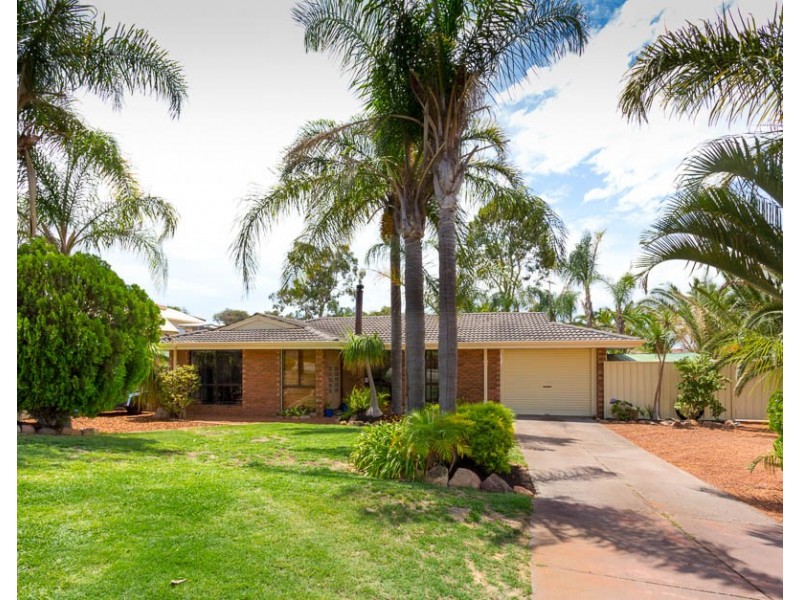 33 Sandpiper Loop, Yangebup WA 6164