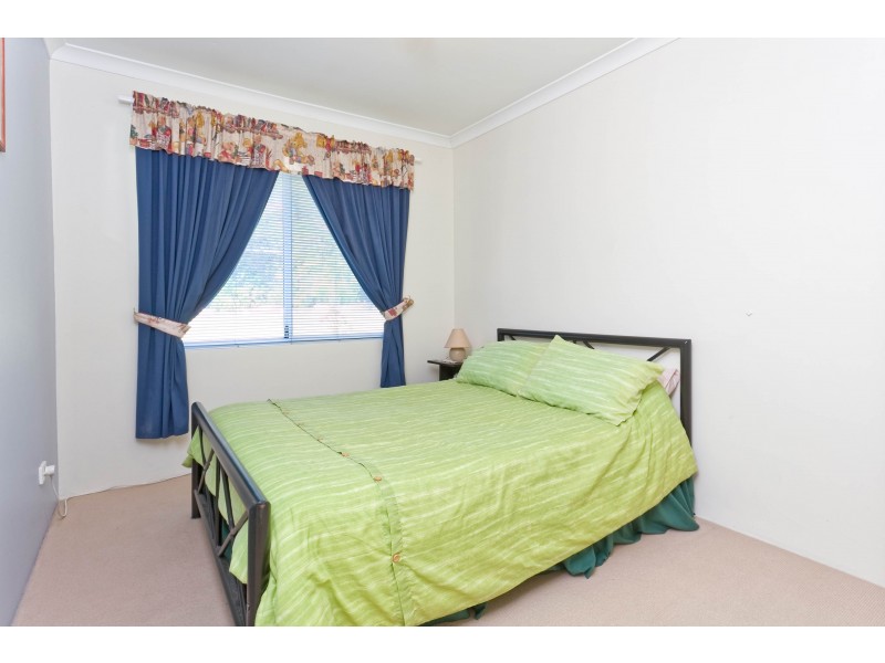 16 Enright Circuit, Beeliar WA 6164