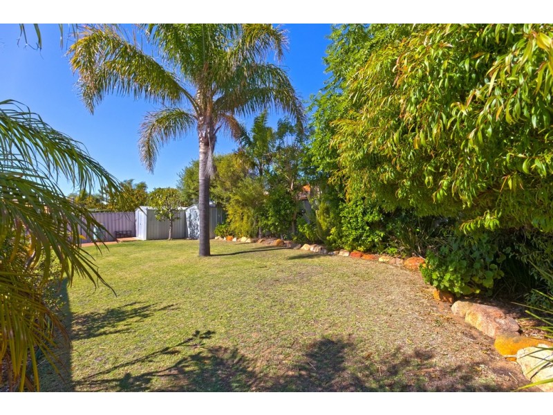 16 Enright Circuit, Beeliar WA 6164