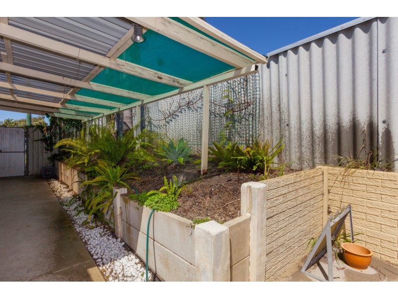 36A Seagull Way, Yangebup WA 6164