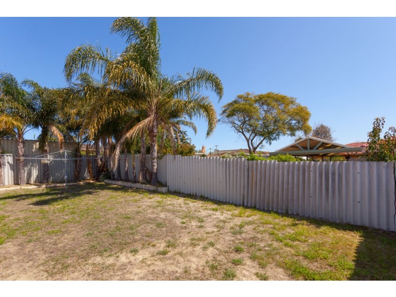 36A Seagull Way, Yangebup WA 6164