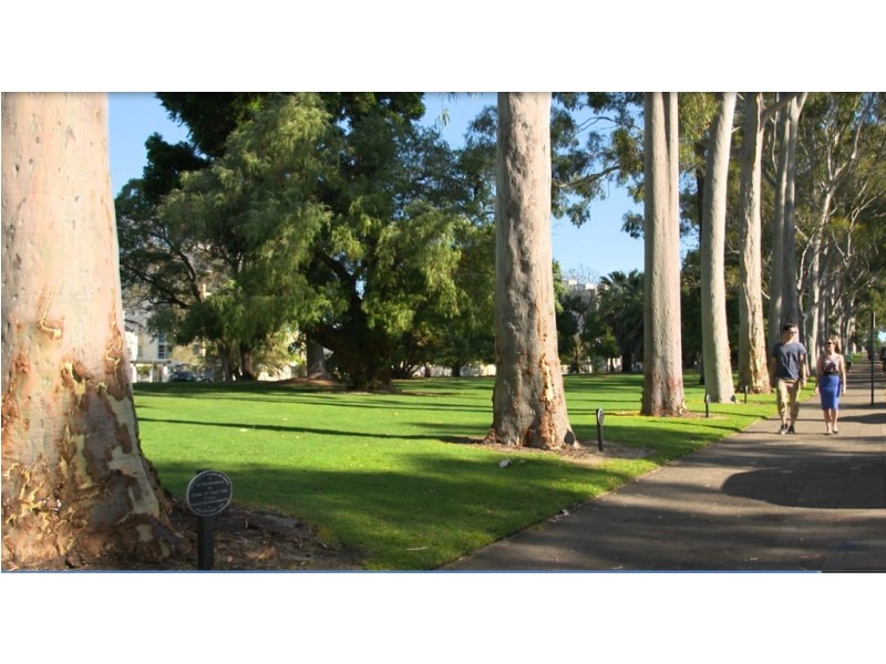 35/1 Roydhouse Street, Subiaco WA 6008