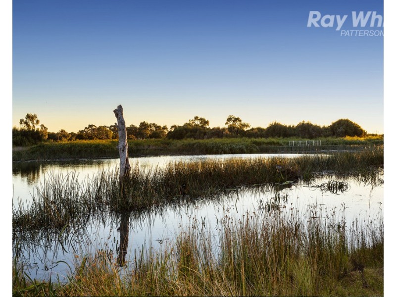 5 Starling Court, Waterways VIC 3195