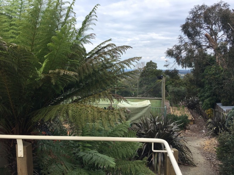 6 Merilyn Way, Frankston South VIC 3199