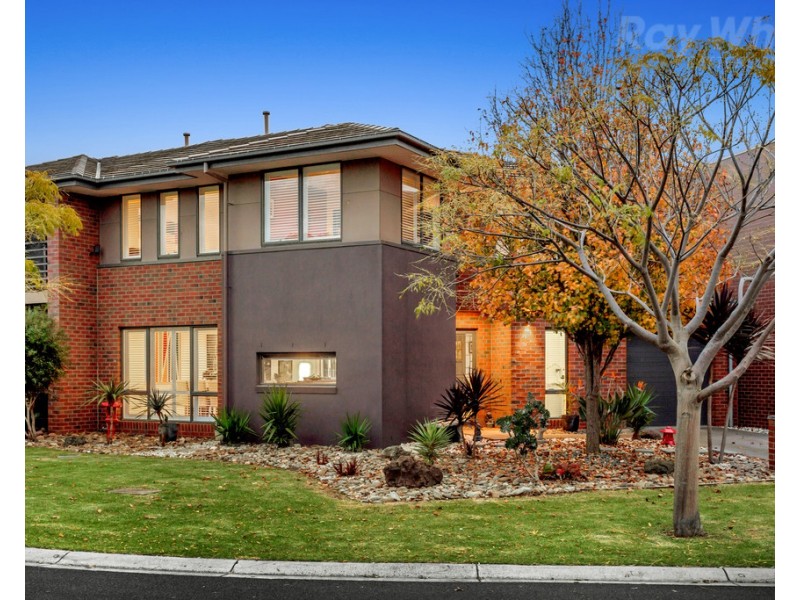 25 Dresden Drive, Waterways VIC 3195