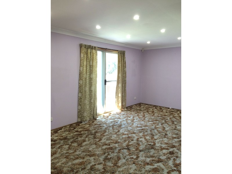 8 Birchgrove Avenue, Canley Heights NSW 2166
