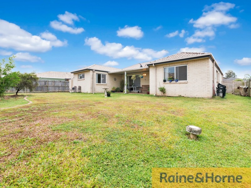 51 Daintree Street, Bellmere QLD 4510