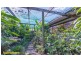 699 Caboolture River Road, Upper Caboolture QLD 4510