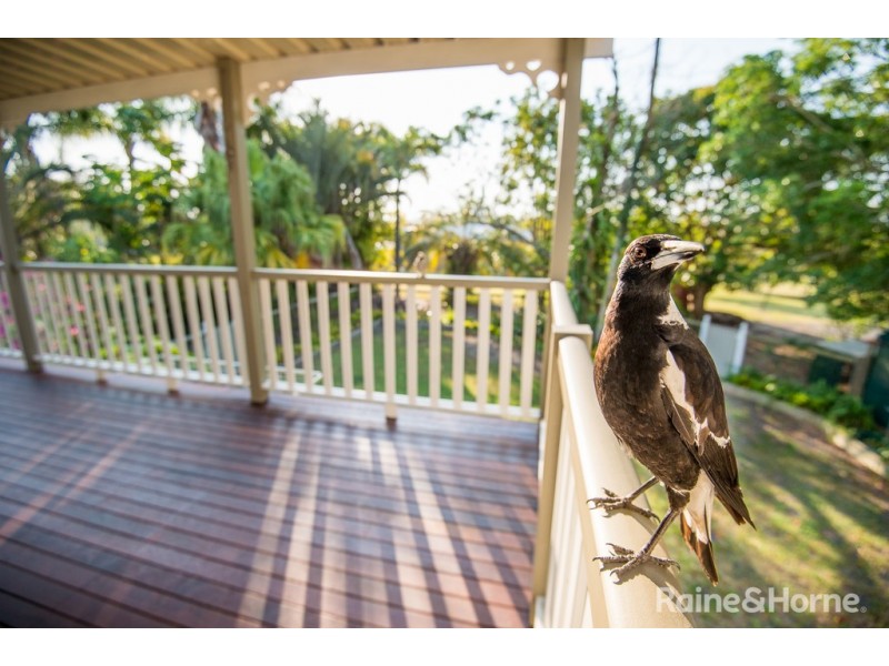56 Goshawk Court, Caboolture QLD 4510