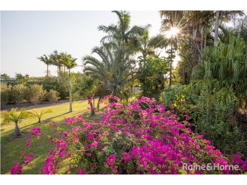 56 Goshawk Court, Caboolture QLD 4510