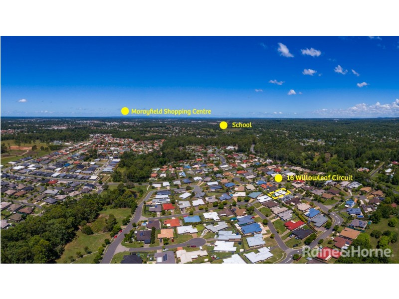 16 Willowleaf Ct, Upper Caboolture QLD 4510