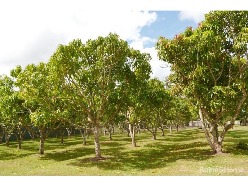 73 Osborne Drive, Burpengary QLD 4505