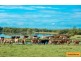 417 Beachmere Road, Beachmere QLD 4510