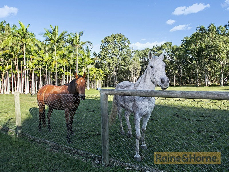 38 Wain Rd, Burpengary QLD 4505