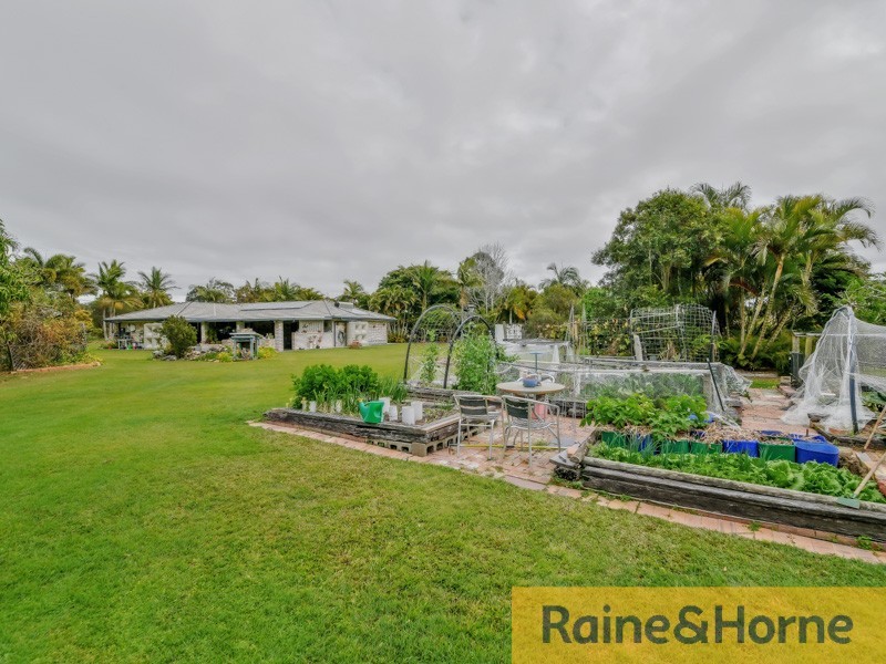 17 Taksan Pl, Ningi QLD 4511