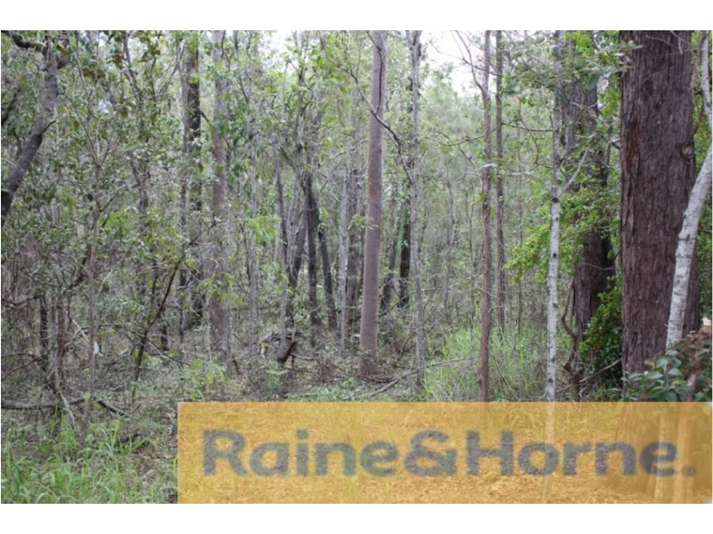 41 Mumford Road, Narangba QLD 4504