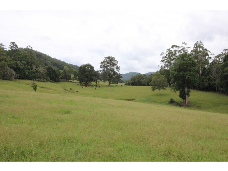 Lot 101 Pappinbarra Rd, Pappinbarra NSW 2446