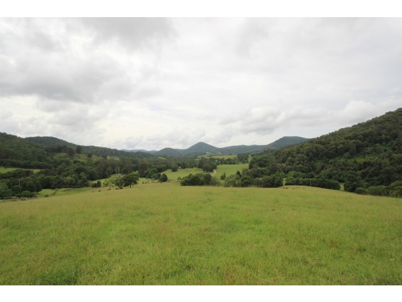 Lot 101 Pappinbarra Rd, Pappinbarra NSW 2446