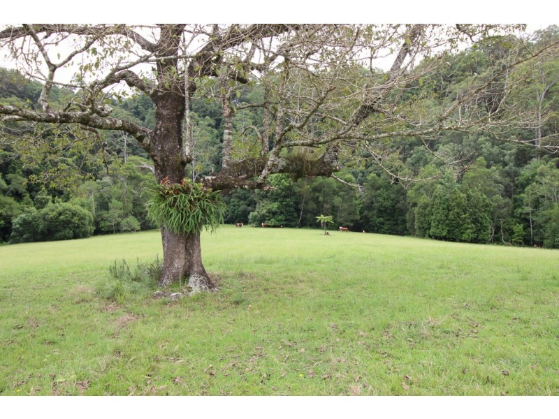 Lot 101 Pappinbarra Rd, Pappinbarra NSW 2446