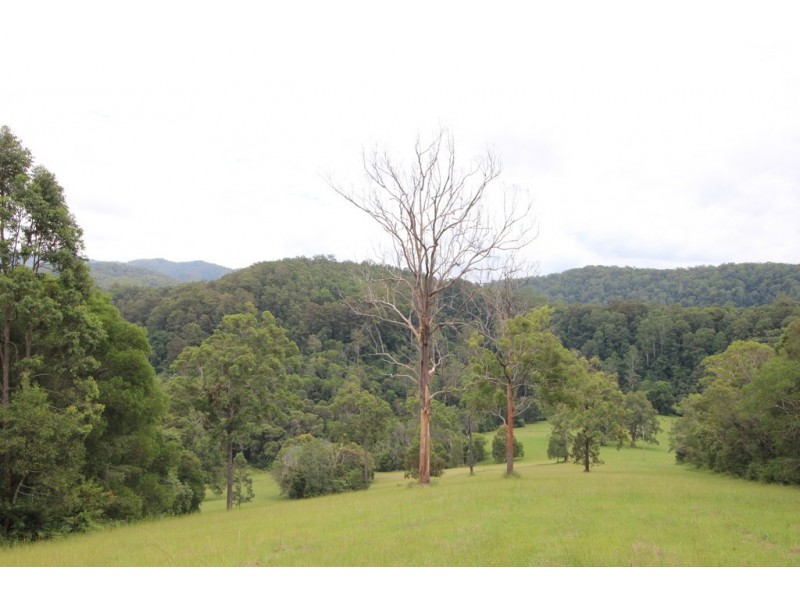 Lot 101 Pappinbarra Rd, Pappinbarra NSW 2446