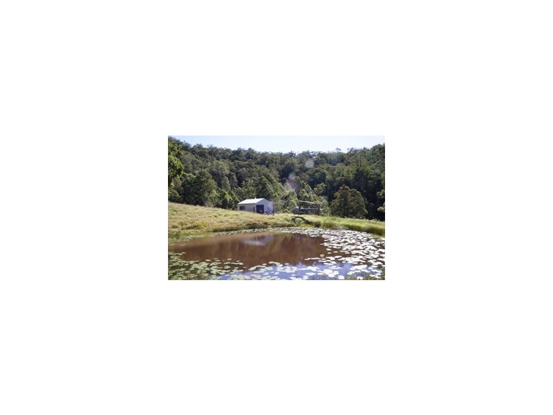 Lot 4 Armidale Road, Bellbrook NSW 2440