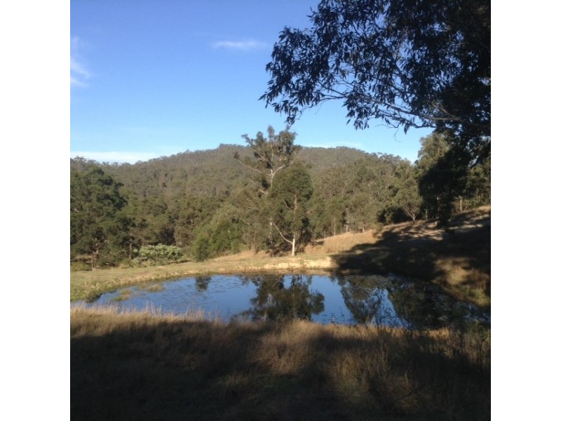 Lot 4 Armidale Road, Bellbrook NSW 2440