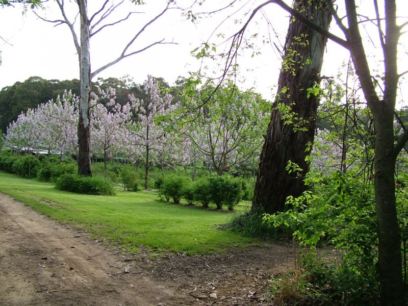 144 Koolkuna Road, Niangala NSW 2354