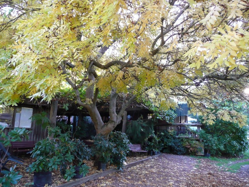 144 Koolkuna Road, Niangala NSW 2354