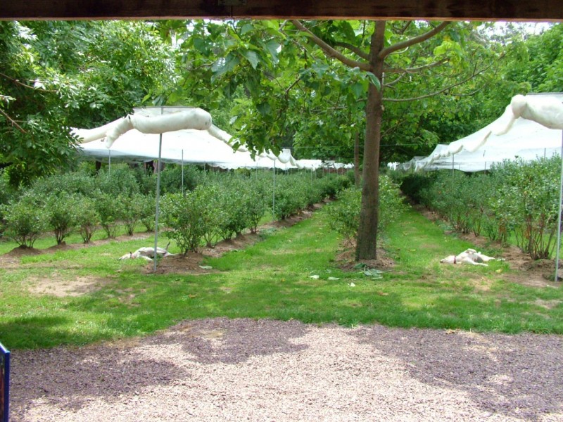 144 Koolkuna Road, Niangala NSW 2354