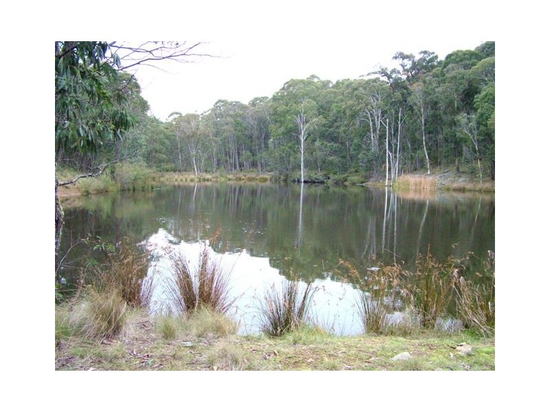 144 Koolkuna Road, Niangala NSW 2354