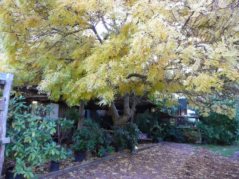 144 Koolkuna Road, Niangala NSW 2354