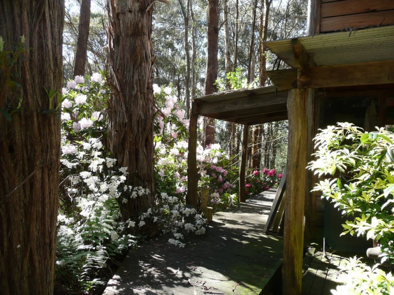 144 Koolkuna Road, Niangala NSW 2354