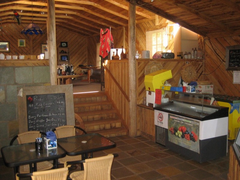 144 Koolkuna Road, Niangala NSW 2354