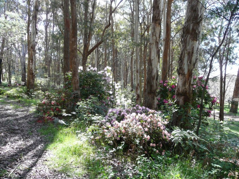 144 Koolkuna Road, Niangala NSW 2354