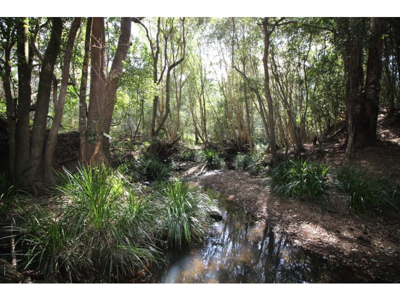 Lot 99 Bril Bril Road, Rollands Plains NSW 2441