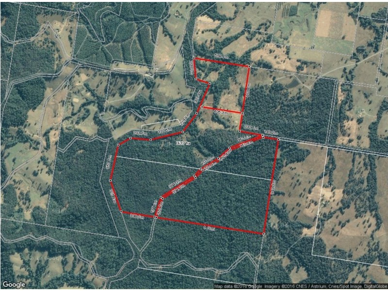 Lot 99 Bril Bril Road, Rollands Plains NSW 2441 Floorplan