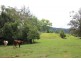 Kindee NSW 2446