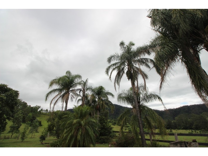 Kindee NSW 2446