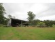 Kindee NSW 2446