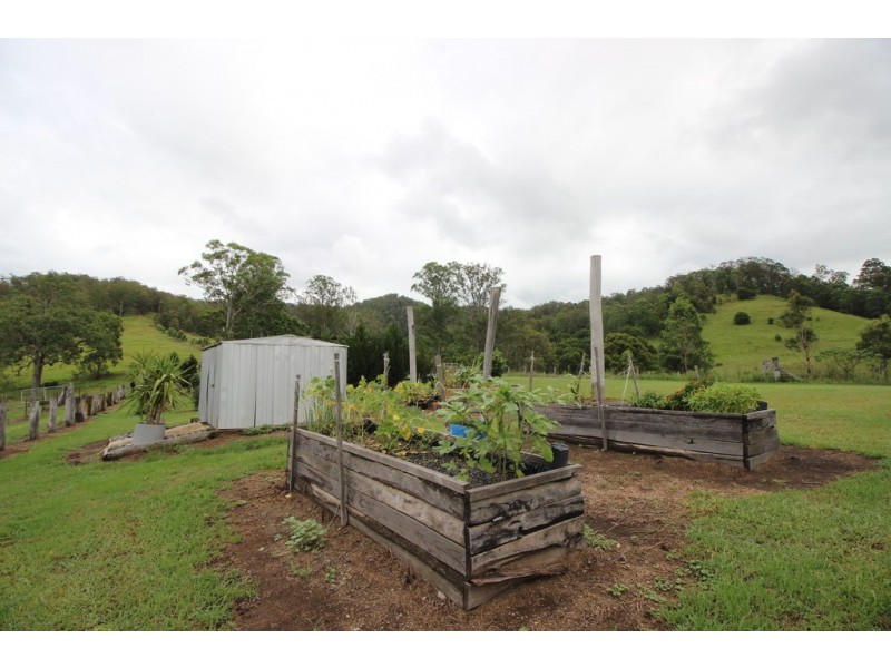 Kindee NSW 2446