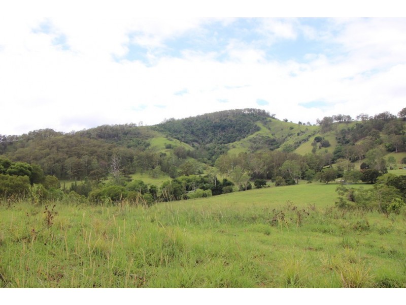 Kindee NSW 2446