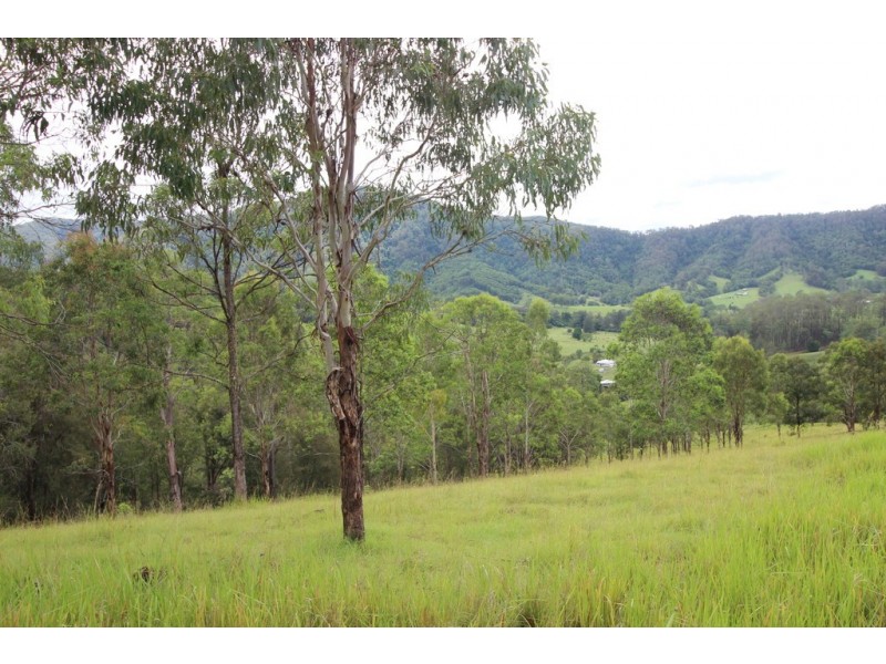 Kindee NSW 2446