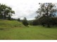 Kindee NSW 2446