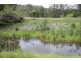 Kindee NSW 2446
