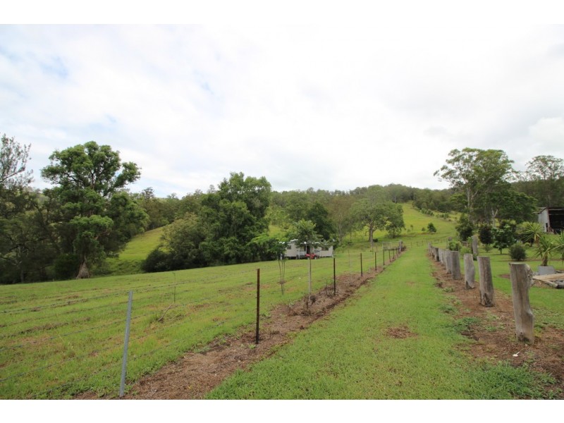 Kindee NSW 2446
