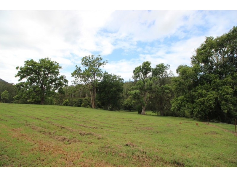 Kindee NSW 2446