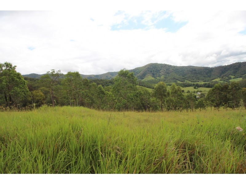 Kindee NSW 2446