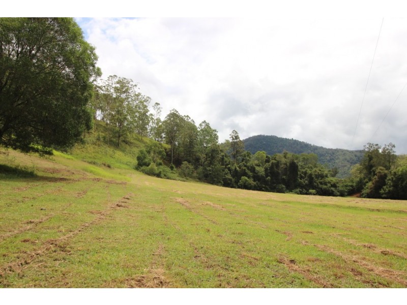 Kindee NSW 2446